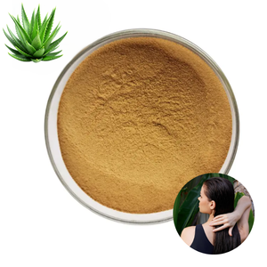 Polvo de Aloe Vera 100% Puro y Seco al por Mayor, a Base de Plantas, Grado Cosmético, Mejora la Manejabilidad del Cabello - Product Image 1