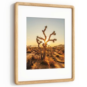 Cadres photo en bois d'acacia et fil d'acier inoxydable, modèle AC-FLF5, forme rectangulaire - OEM, vente en gros personnalisée |   Aqdus Saleem Inde - Product Image 3