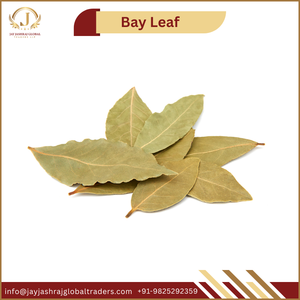 Feuilles de Laurier Séchées Biologiques Premium Tej Patta pour Produits Herbacés et Marché International - Product Image 2