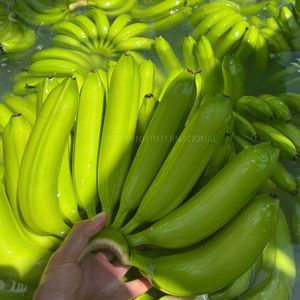 Bananes vertes vietnamiennes fraîches pour les importateurs - Product Image 3