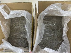 Graines de papaye séchées naturelles en gros pour les applications de l'industrie alimentaire et des épices - Product Image 5