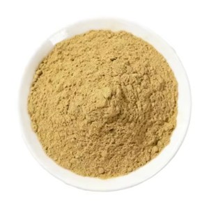 Poudre de fenugrec biologique pure à 100% pour la cuisine et l'aromatisation des aliments, poudre de fenugrec séchée au prix de gros en provenance d'Inde - Product Image 3