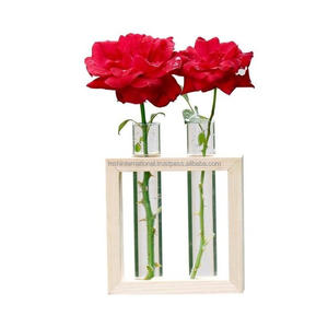 Jarrones de brotes transparentes Soporte de madera Botella de planta Florero hidropónico de vidrio Florero de vidrio de tubo - Product Image 6