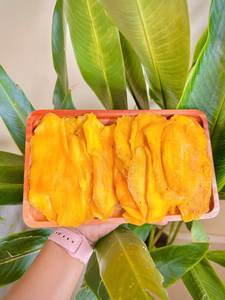 Mangue Tropicale Douce Séchée du Vietnam – Snack de Fruits Premium Naturel – Qualité Export en Gros - Product Image 1