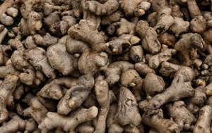 Zingiber Officinale Dried Rhizome Pieces Whole Dried <b>Ginger</b> Rhizome Raw Material <b>Ginger</b> Rhizome Herbal Ingredient Supply - Product Image 3