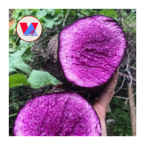 Yam Morado Congelado en Rodajas y Entero, Empaque a Granel de 10 kg - Raíz Morada de Calidad de Exportación para Venta al por Mayor y Suministro a Restaurantes - Product Image 1