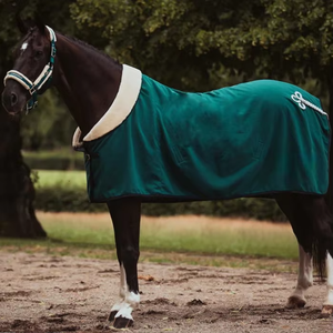 Couvertures pour chevaux, nouvelle arrivée, fabrication professionnelle, prix d'usine, faible MOQ, prix le plus bas, douces, confortables, imperméables. - Product Image 2