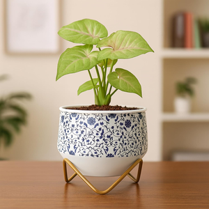 Maceta Metálica Mini Caramel, Florero de Diseño Único, Contenedor Decorativo para Plantas de Interior, para Suculentas y Plantas Verdes Pequeñas - Product Image 1