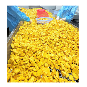 Jackfruit Croustillant Premium, Fruits Séchés, Snack Tropical Vietnamien, Fournisseur en Gros pour l'Exportation, Sans OGM, Goût Sucré, Emballage Sous Vide, 99 GD Zena - Product Image 4
