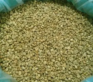 Merek Vietnam coffee - Detech mentah biji kopi dengan kualitas tinggi grosir merek kustom kantong kopi arabika