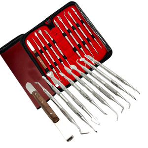 Kit professionnel d'instruments de précision pour sculpture de cire en laboratoire dentaire allemand, en acier inoxydable, ProMax LabSet - Product Image 3