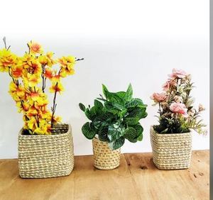 Juego de Macetas para Plantas de Hierba Moonj Hechas a Mano y Naturales - Product Image 2