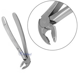 Proveedor al por mayor Instrumentos quirúrgicos dentales Fórceps de extracción Molar inferior para cirugía dental - Product Image 4