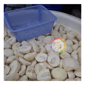 Trozos de Fruta de Pan (LQF) de Alta Calidad - Sin OGM, Empaque al Vacío a Granel, Suministro Estable, Fábrica con Estándar HACCP - Caryln - Product Image 2