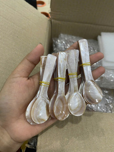 Cuillère de service en nacre naturelle |   Ustensile en coquillage vietnamien fait main pour une restauration et une décoration haut de gamme - Product Image 3