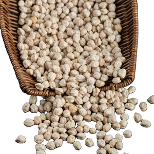 Garbanzos secos procesados con cuidado, venta al por mayor de garbanzos para compradores internacionales que buscan granos de tamaño uniforme - Product Image 2