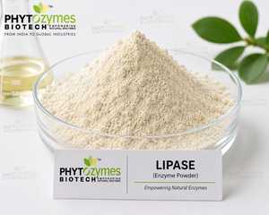 Top Selling Lipase Enzyme Powder with High Enzymatic Activity for Oil Degradation Food Processing and Biotechnology Use for Sale - Product Image 1
