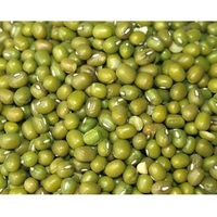 Haricot Mungo Vigna Radiata Biologique de Qualité Export, Nettoyé à la Machine, Qualité Sortex, Vente en Gros pour le Commerce International