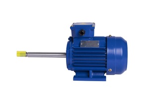 Motor Eléctrico Trifásico TP-1FVN, Carcasa de Hierro Fundido, Motor Asíncrono, Resistente a Goteos/IP55, Peso TOAN PHAT - Product Image 2