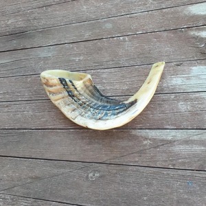Cuerno de Shofar de Primera Calidad, Precio al por Mayor, Hecho a Mano, Cuerno Religioso Judío para Oración y Ceremonia - Product Image 6