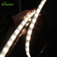 Bande LED flexible pour mur, 16x16mm, étanche IP67, bande lumineuse linéaire pour éclairage extérieur de ponts et façades, 24V