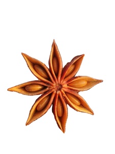 Totalmente certificado Precio de venta Primavera Otoño Anís estrellado Vietnam Importación Exportación Calidad Premium 2025 Ms Doris + 84 352542206 - Product Image 4