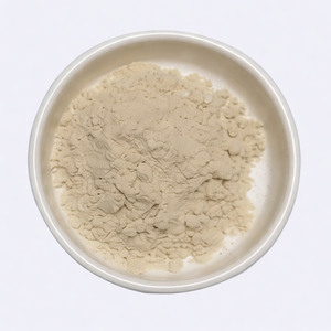 Polvo de Calamar Premium, Polvo Fino de Carne de Calamar para Sazonar y Sopas, Proveedor de Mariscos de Vietnam ANGLE - Product Image 3