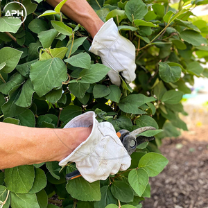 Gants de travail en cuir fendu avec paume renforcée et poignet élastique pour la construction, l'atelier et la manutention – Modèle canadien personnalisé - Product Image 4