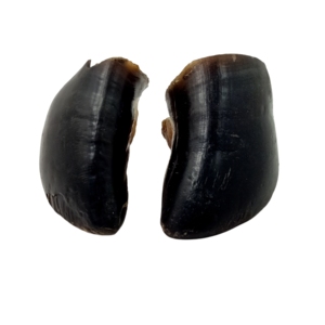 Natural Buffalo Horn Dog Chew Treats and Pet Toys Eco-Friendly Sustainable Products From Uttar Pradesh Z/F GLOBAL EXPORT - Product Image 6