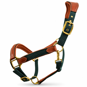 Premium Quality Horse Leather Halter with Fancy Stitching Custom Name Plate Nylon Leather Materials Customizable Indian Supplier - Product Image 1