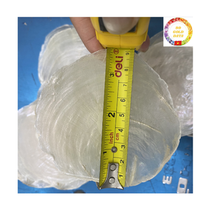 Capiz <b>Shell</b> for <b>Lighting</b> | Polished Round 50mm <b>Shell</b> Pieces | DIY Lamps Chandeliers | Factory Direct - Product Image 4