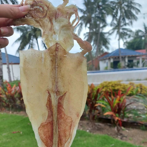 Mejor Precio Calamar Liofilizado para Servicios de Alimentación, Salada Salteada, Sopa, Papilla y Aperitivos Fritos, Bolsa de 1kg, 100% Natural, Caja - Product Image 1