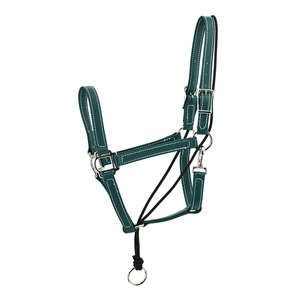 Harnais de cheval en cuir noir avec boucles en laiton et surpiqûres blanches pour l'équitation et l'entraînement - Product Image 4
