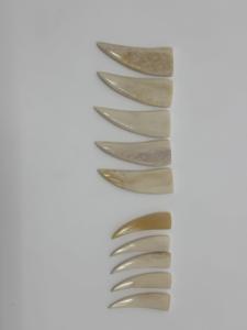 Colgantes de Hueso Natural Pulidos a Mano con Forma de Cuerno para Joyería Tribal, Accesorios DIY para Collares - Product Image 2