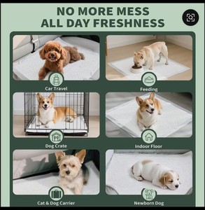 Umweltfreundliche, super saugfähige Windeln für Hunde und Welpen mit auslaufsicherem, schnell trocknendem Design für das Töpfchentraining, 100er-Pack. - Product Image 2