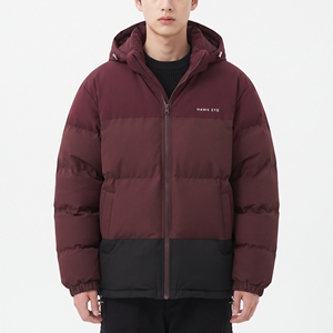 HAWK EYE Blouson matelassé à capuche pour homme, manteau d'hiver color block, vêtement d'extérieur décontracté, coupe-vent avec fermeture éclair et logo sur le devant - Product Image 1