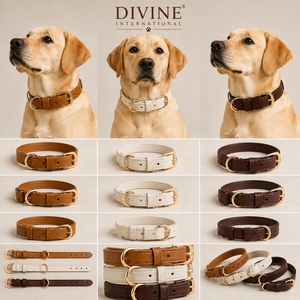 Fabrication de colliers pour chiens en cuir professionnels, vente en gros, étiquette privée personnalisée de Divine International - Product Image 5