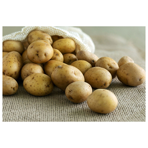 Pommes de terre fraîches, produits agricoles, emballage en sac, vente en gros, exportateur, distributeur mondial - Product Image 3