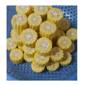 Fournisseur en gros de maïs sucré congelé du Vietnam pour l'importation et la distribution mondiales - Product Image 4