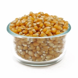 Maíz Amarillo Seco de Grano Entero de Primera Calidad para Exportación a Granel, Cosecha Seleccionada para Importadores Globales que Requieren Suministros Agrícolas Limpios - Product Image 2