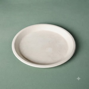 Plato Redondo Ecológico de Bagazo Blanco de 10 Pulgadas, Vajilla Desechable Sostenible para Restaurantes, Catering y Eventos - Product Image 6