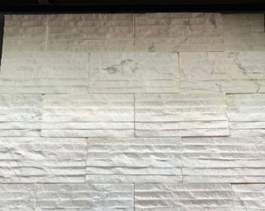 Azulejo Blanco Lechoso con Diseño de Cara Dividida 1020 cm (CTS-DOT-TN-16) Diseño Moderno para Baño y Almacén - Product Image 2