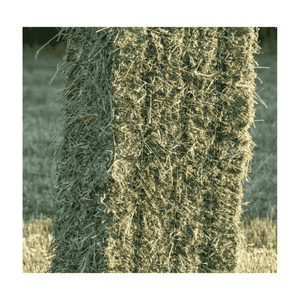 Meilleures pratiques en matière d'exportation d'herbe de Rhodes : les normes que chaque fournisseur doit suivre - Product Image 2