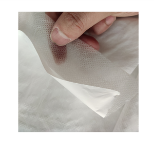 ฟิล์มพีอีเคลือบบนผ้าไม่ทอพีพีและกระดาษแอร์เลด - Product Image 1