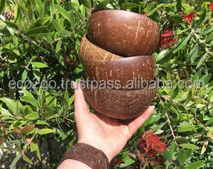 Eco2go Organic Coconut Shell Bowl Wholesale Biodegradable Eco Friendly Handmade Polished OEM Custom Logo Set - Product Image 2