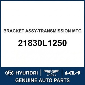 Pièces de transmission manuelle neuves pour Sonata 21830L1250 - Product Image 1