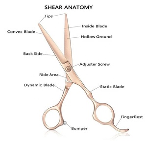 Tijeras de corte de pelo de acero inoxidable para peluquero profesional con mango dorado, herramienta de belleza de hoja Roma recta afilada - Product Image 3