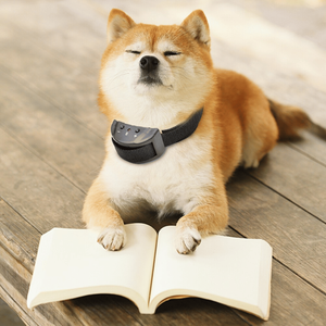 Collar de perro antiladridos automático pequeño a grande con dispositivo de control de golpes para perros de tamaño mediano a grande - Product Image 6