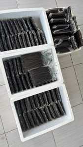 ฝักวานิลลาอินโดนีเซียพันธุ์พลานิโฟเลีย เนื้อนุ่ม หนึบ ชุ่มชื้น เงางามเป็นธรรมชาติ คุณภาพพรีเมียม กลิ่นหอมเข้มข้น วานิลลินสูง - Product Image 6