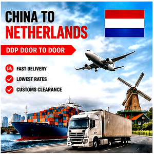 Agente de Envíos de China a los Países Bajos |   Transporte Marítimo |   Transporte Aéreo |   Entrega DDP Puerta a Puerta |   Agente de Carga - Product Image 1